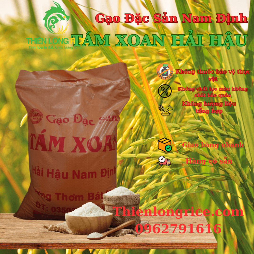 Gạo Tám Xoan Hải Hậu Đặc Sản Nam Định Bịch 10KG,Thơm Dẻo Dai Cơm Hàng Loại 1