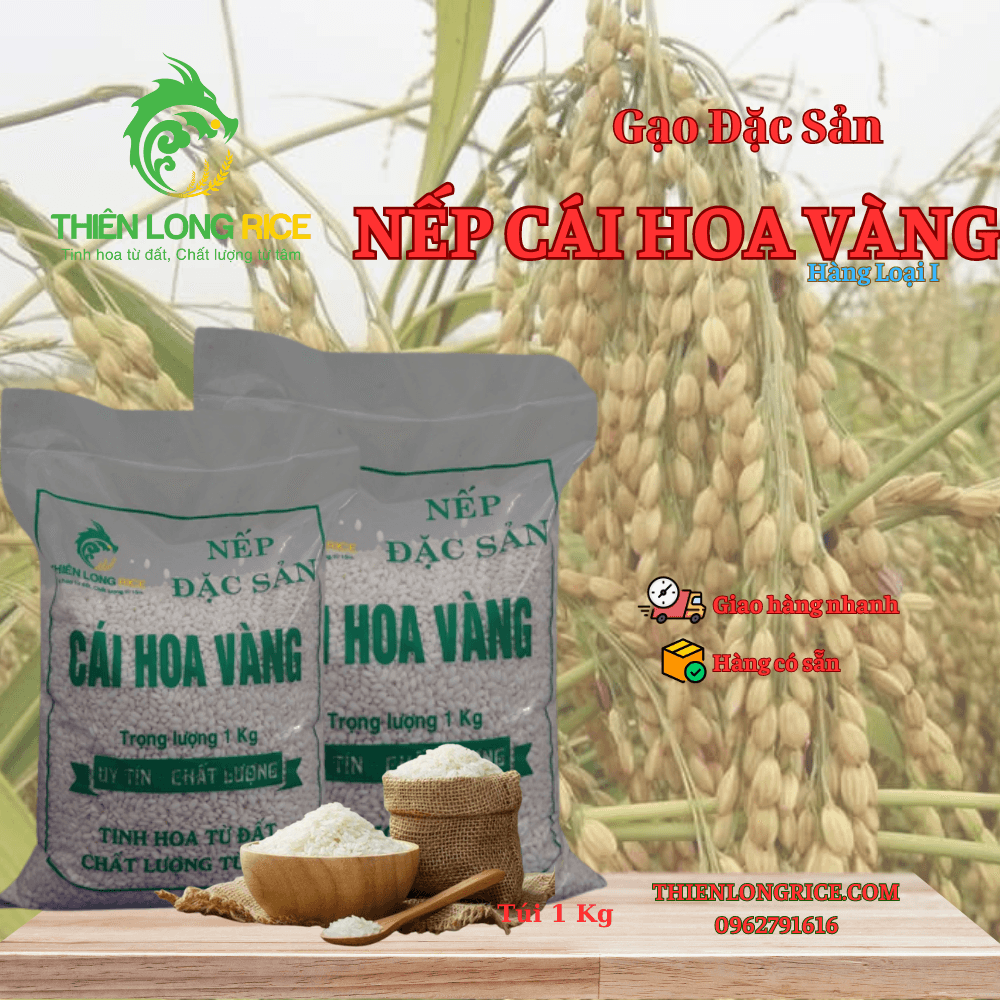 NẾP BẮC CÁI HOA VÀNG TÚI 1KG HÀNG LOẠI 1